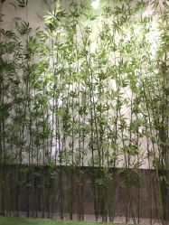 -盘子女人坊古装写真摄影(天津总店)