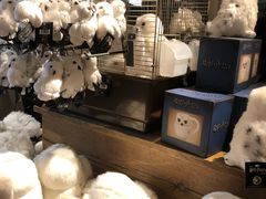 -九又四分之三站台哈利波特商店