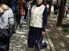 -嘉定紫藤园