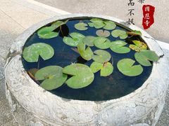 -国恩寺