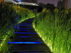 -西安汉城湖景区