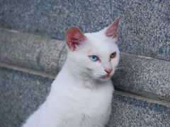 -杭州上天竺法喜讲寺