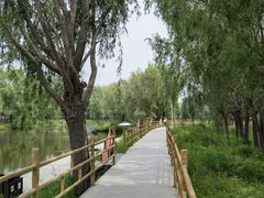 -白渔泡湿地公园