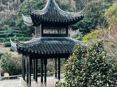 -九龙潭景区