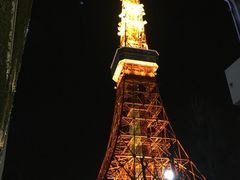 -东京塔海贼王主题公园