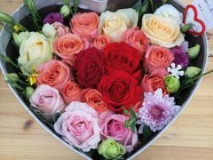 -荷兰花海