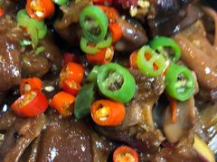 -依江春水烤鸭店