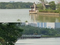 -海珠湖公园
