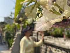 -三溪村