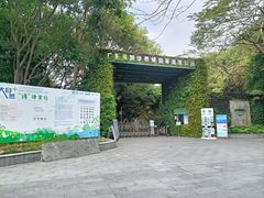 -华侨城湿地公园