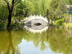 -郑州植物园