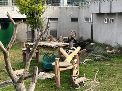 -沈阳森林动物园