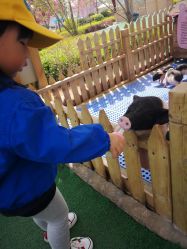 -萌宠亲子动物乐园(槐房万达店)