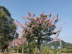 -中国移动南方基地