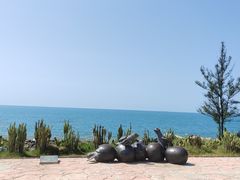 -广东惠东海龟国家级自然保护区