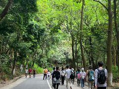 -火炉山森林公园