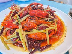 -阳光院坝小龙虾(红牌楼店)