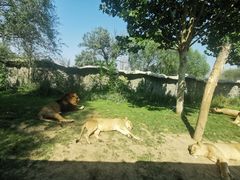 -北京野生动物园