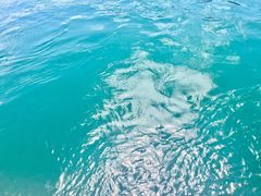 -天山天池风景区-西王母祖庙