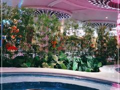 -水晶之星洗浴温泉汗蒸