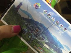 -普陀山佛顶山索道