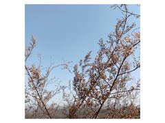 -蟠龙山长城景区