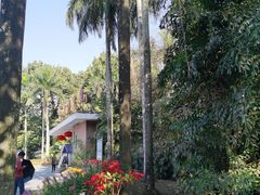 -华南国家植物园-售票处