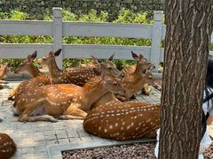 -北京野生动物园