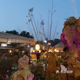 三德子疯了吗？花13年养鸡?到底有多特别？