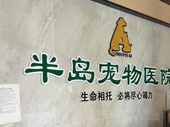 -半岛宠物医院24小时(科华中路店)