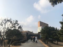 -雪绿茶博物馆