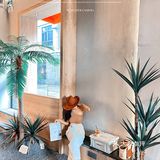 佛山探店|炎炎夏日秒穿夏威夷热带森林度假