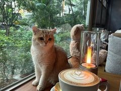 -咖法森林·咖啡  酒吧(天河店)