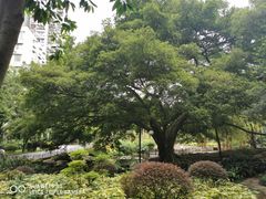 -晓港公园