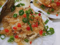 扇贝-东极岛海鲜