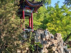 -莲湖公园