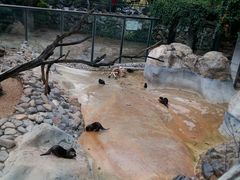-昆明动物园