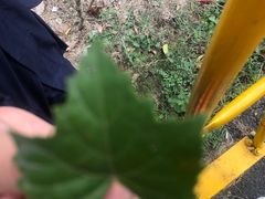 -嬉乐湾休闲旅游区