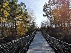 -北极村旅游风景区