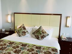 -武汉江城明珠豪生大酒店