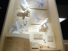 -上海科技馆(地铁站)