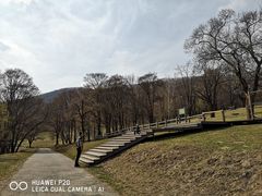 -森工平山皇家鹿苑景区