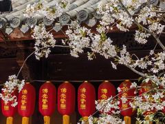 -龙华寺