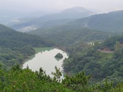 -广州白江湖森林公园