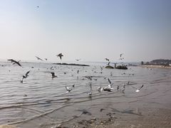 -老虎石海上公园