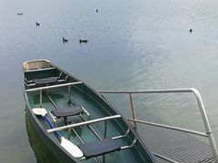 -热带雨林自然公园