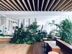 -Seesaw Coffee(朝阳大悦城店)