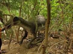 -呀路古热带植物园