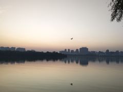 -灞河西岸滨河公园