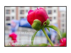 -中国药科大学（江宁校区）-图书馆